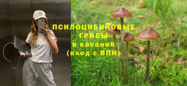 дурь Протвино