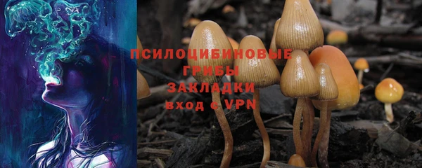 мескалин Приозерск
