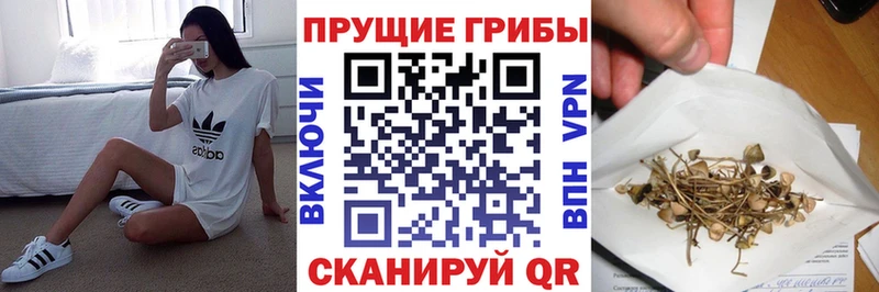 Галлюциногенные грибы Psilocybe  мориарти формула  Обь  даркнет сайт 